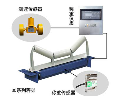 ICS-30B電子皮帶秤